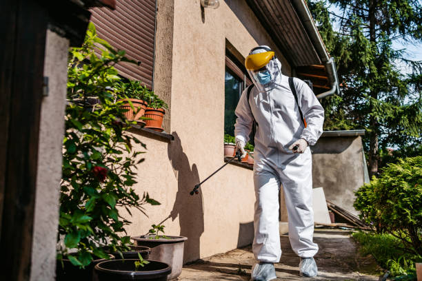 Flea Control Services in Alpharetta, GA