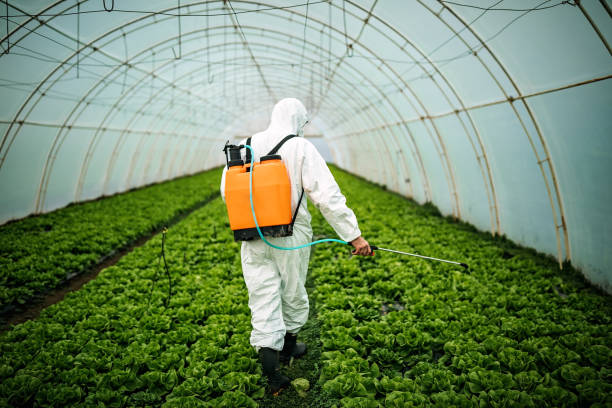 Best Pest Prevention Services  in Alpharetta, GA