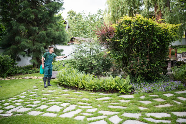 Best Mosquito Control Services  in Alpharetta, GA