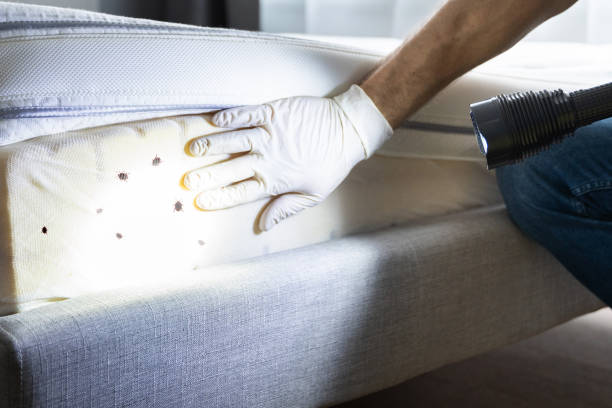 Trusted Alpharetta, GA Pest Control Experts