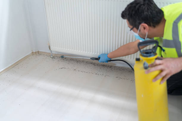 Best Commercial Pest Control Services  in Alpharetta, GA