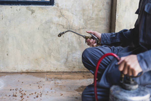 Best Pest Removal Services  in Alpharetta, GA